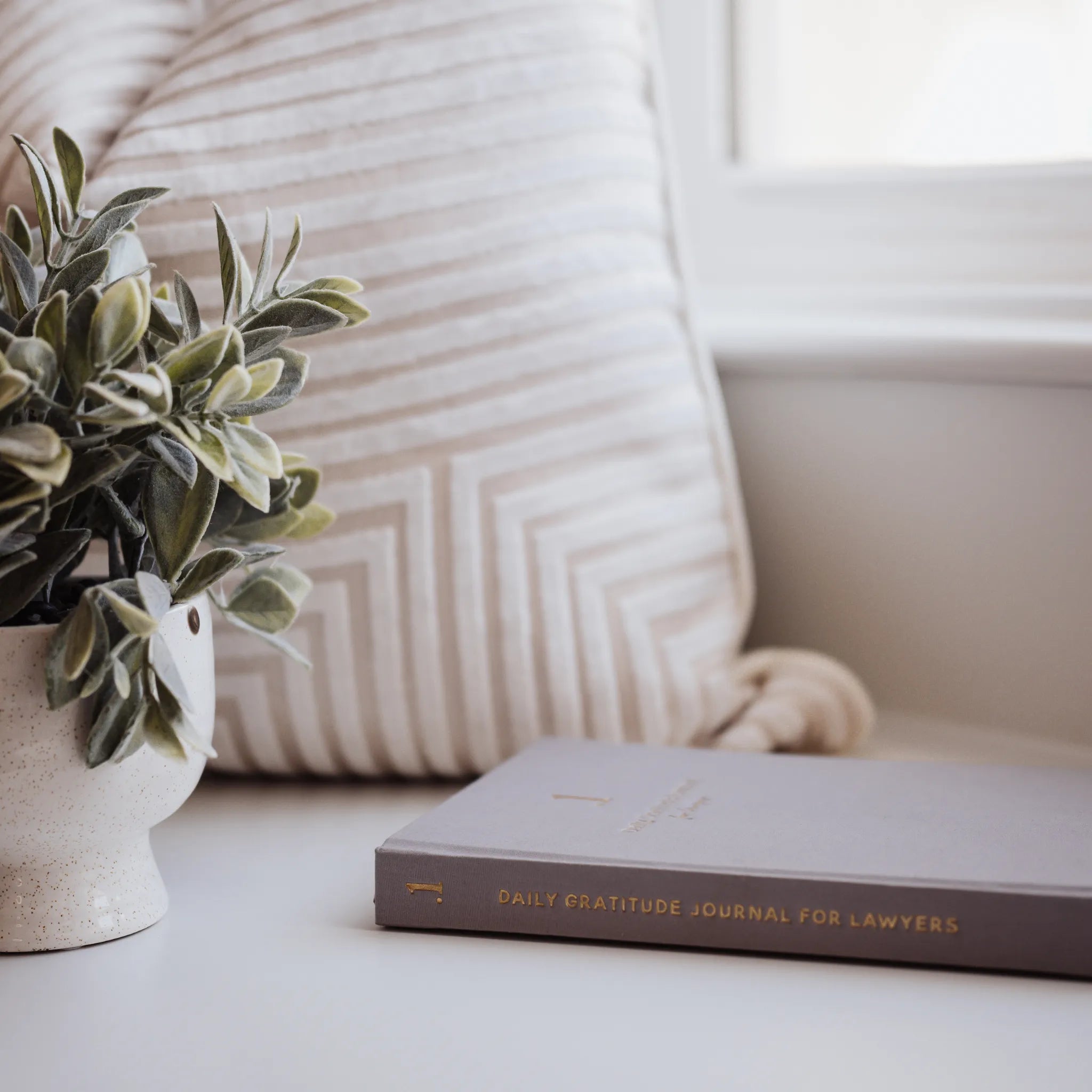 Book titled '.1 Daily Gratitude Journal for Lawyers' on a surface with a plant and pillow in the background